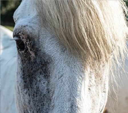 Imagem do WhatsApp de 2024-01-23 à(s) 09.20.34_85459738