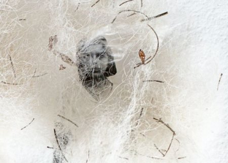 Imagem do WhatsApp de 2024-01-23 à(s) 09.24.30_752e2814